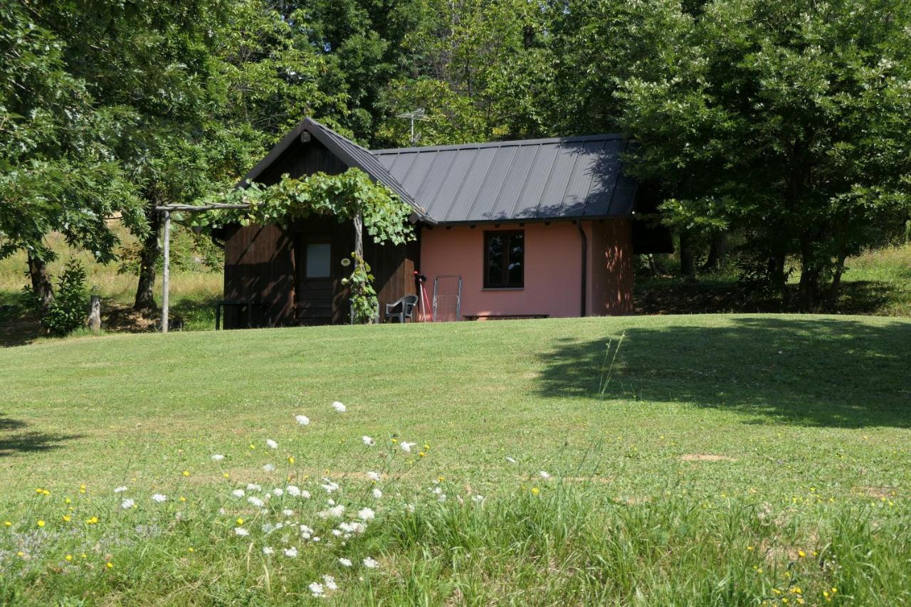 Pieve Fosciana Agriturismo Braccicorti מראה חיצוני תמונה