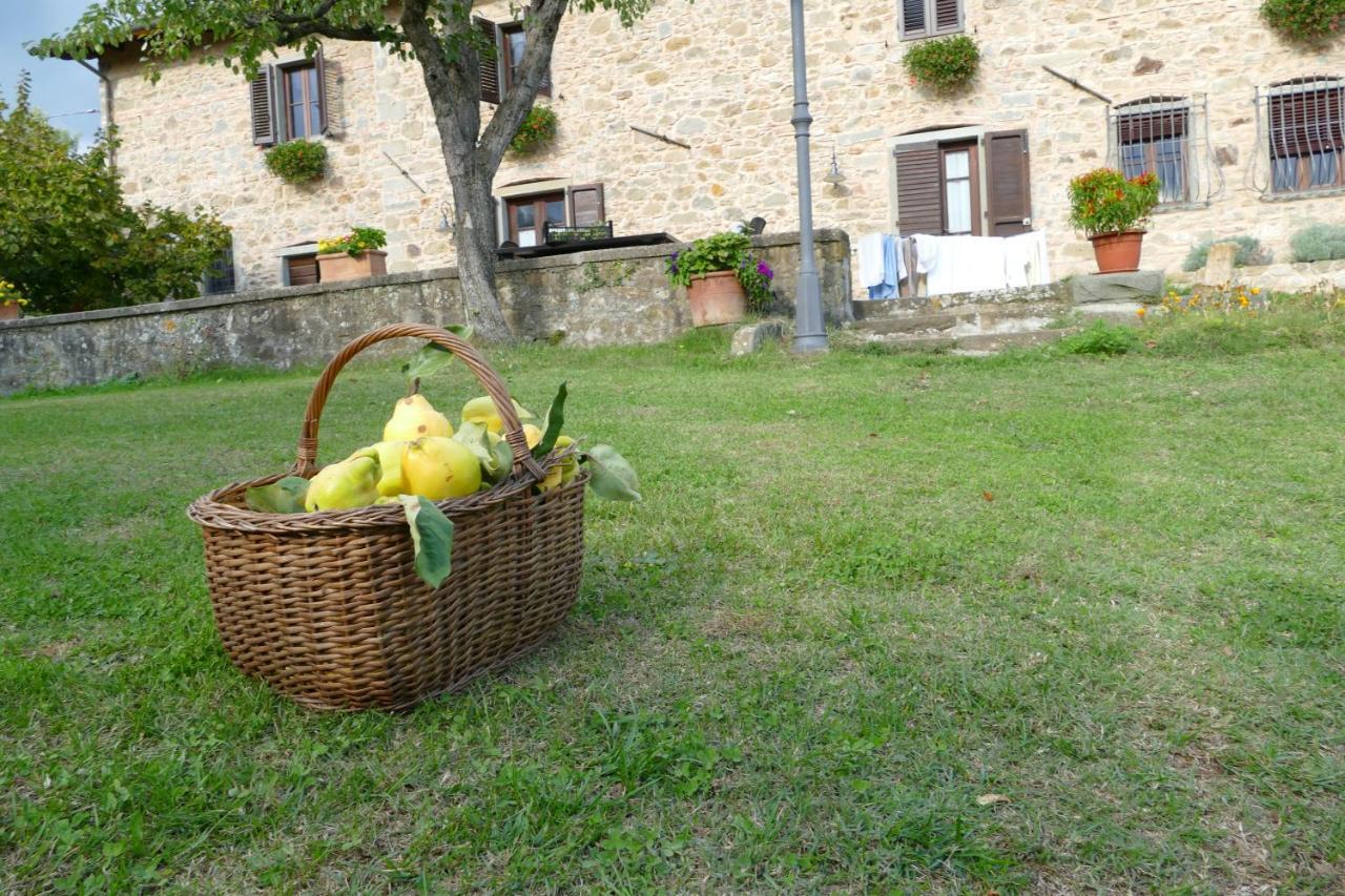 Pieve Fosciana Agriturismo Braccicorti מראה חיצוני תמונה