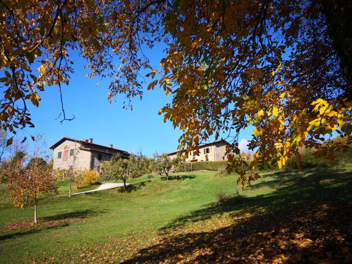 Pieve Fosciana Agriturismo Braccicorti מראה חיצוני תמונה