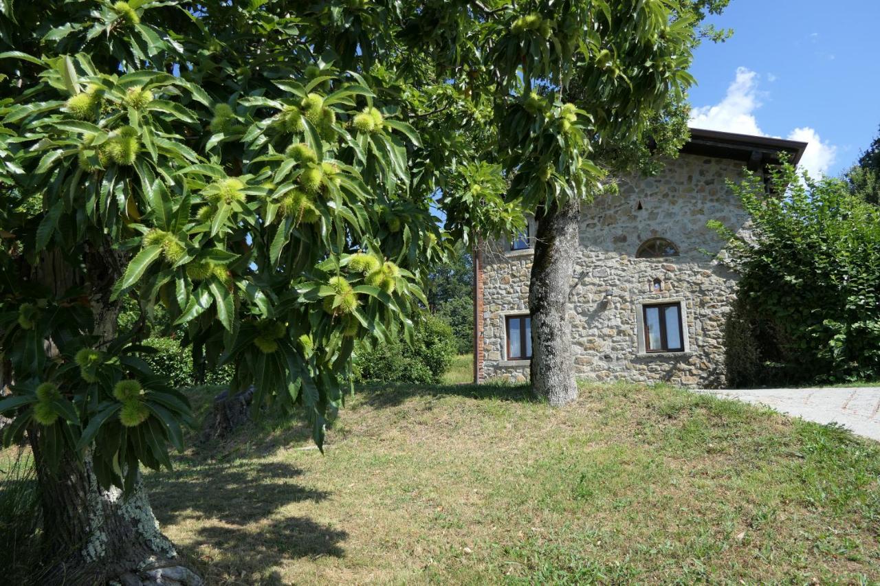 Pieve Fosciana Agriturismo Braccicorti מראה חיצוני תמונה