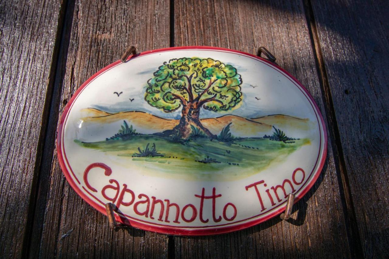 Pieve Fosciana Agriturismo Braccicorti מראה חיצוני תמונה