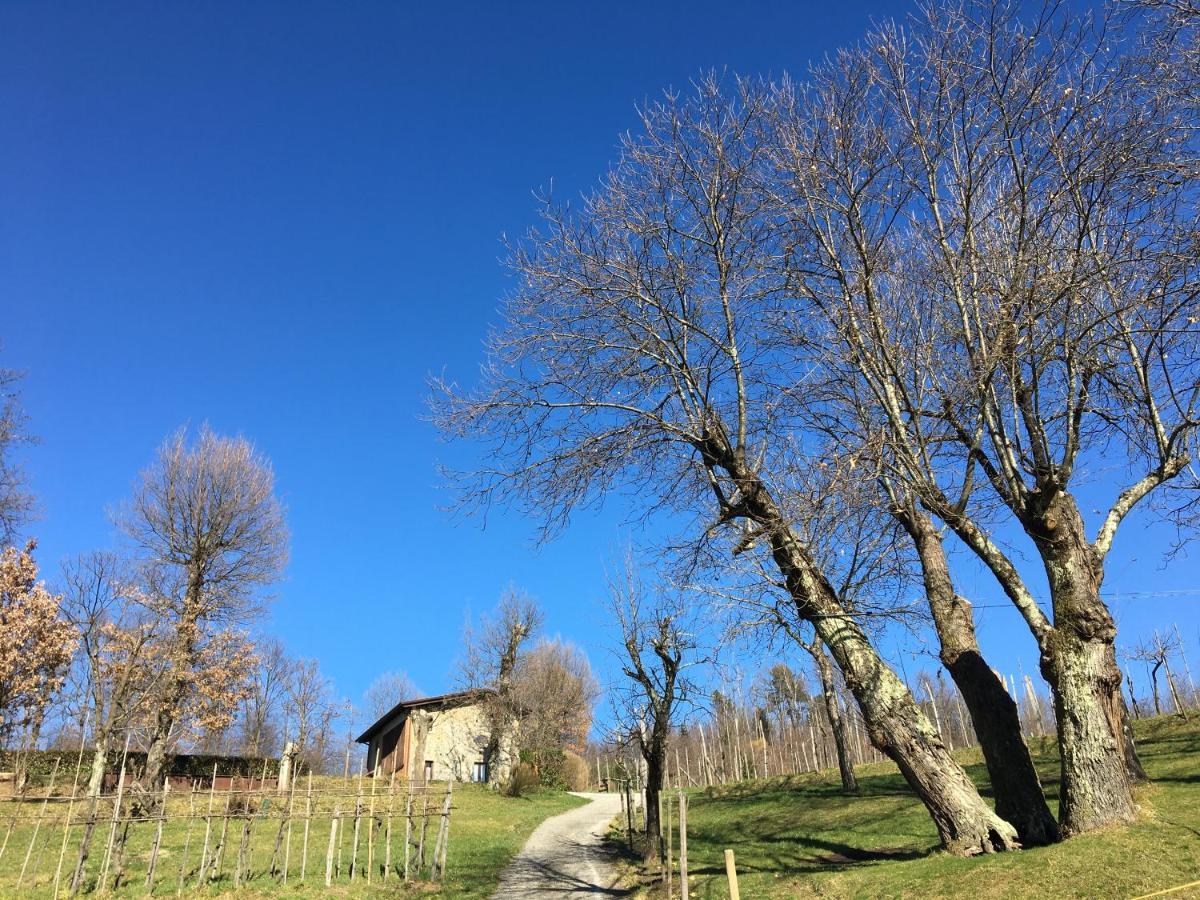 Pieve Fosciana Agriturismo Braccicorti מראה חיצוני תמונה